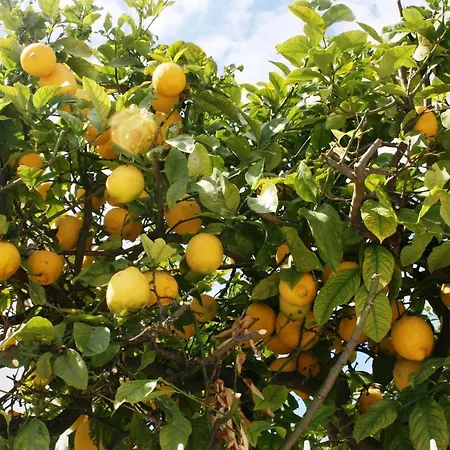 Ocean Facing At Senhora Da Rocha