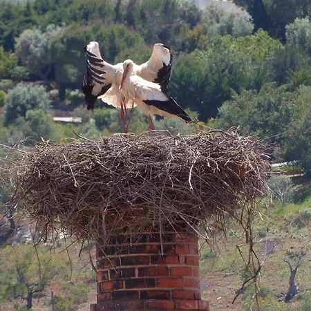 Ocean Facing At Senhora Da Rocha * פורצ'ס