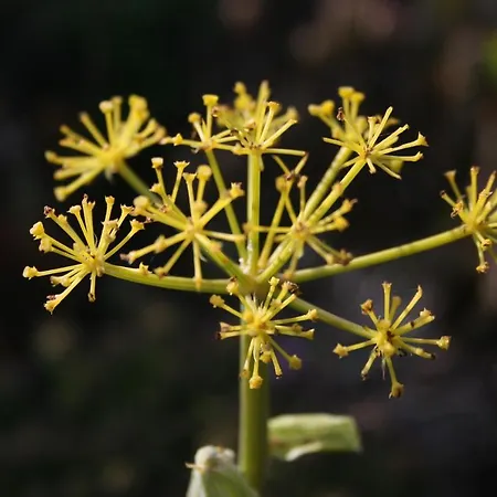 Ocean Facing At Senhora Da Rocha ヴィラ ポルシェス