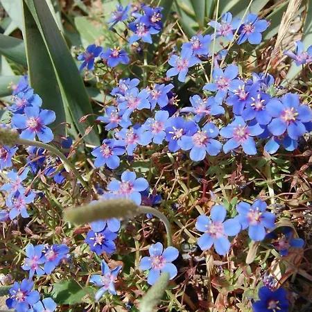 Villa Ocean Facing At Senhora Da Rocha *