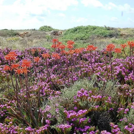 Villa Ocean Facing At Senhora Da Rocha