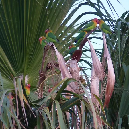 Ocean Facing At Senhora Da Rocha *