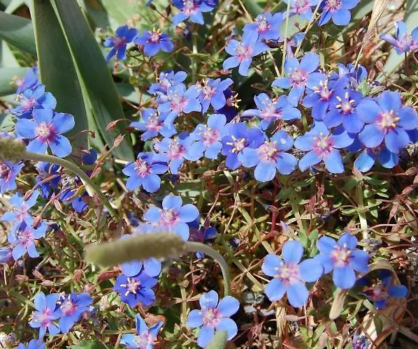 Villa Ocean Facing At Senhora Da Rocha *