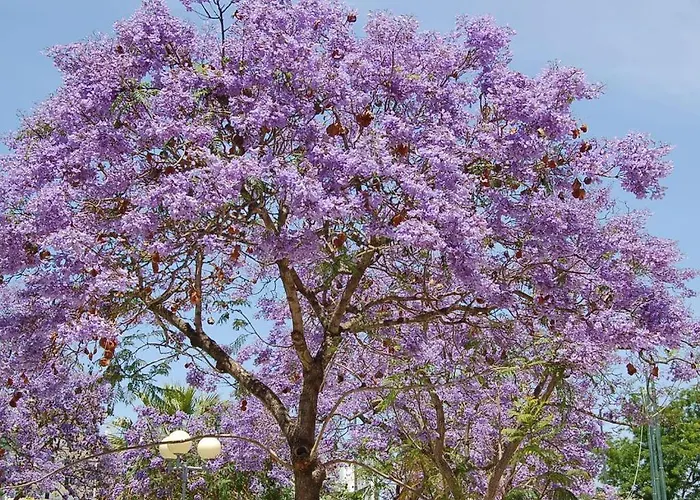 Villa Ocean Facing At Senhora Da Rocha *