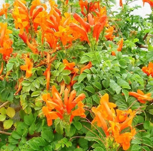 Ocean Facing At Senhora Da Rocha *