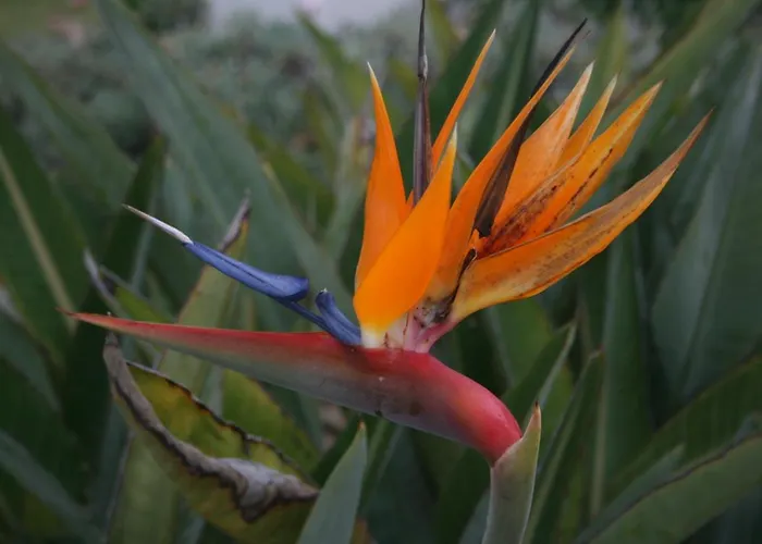 Ocean Facing At Senhora Da Rocha * Porches (Algarve)