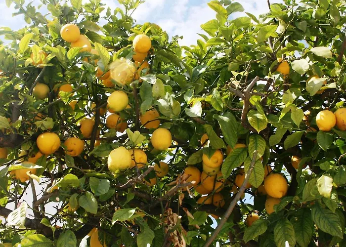 Ocean Facing At Senhora Da Rocha