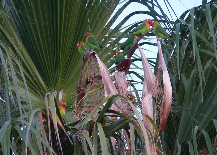 Ocean Facing At Senhora Da Rocha *