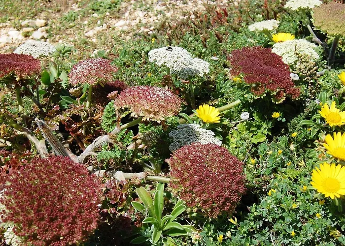 Ocean Facing At Senhora Da Rocha *